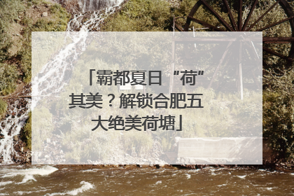 霸都夏日“荷”其美？解锁合肥五大绝美荷塘