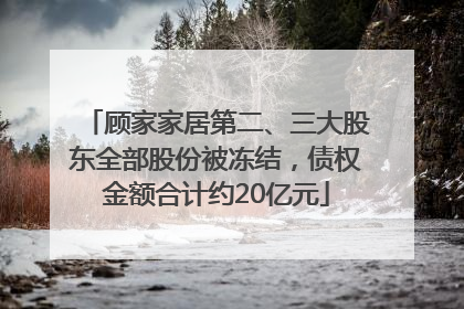 顾家家居第二、三大股东全部股份被冻结，债权金额合计约20亿元