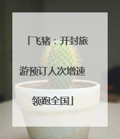 飞猪：开封旅游预订人次增速领跑全国