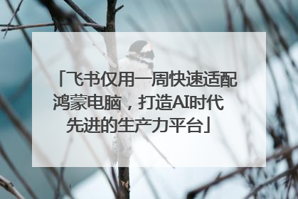 飞书仅用一周快速适配鸿蒙电脑，打造AI时代先进的生产力平台