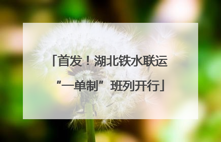 首发！湖北铁水联运“一单制”班列开行