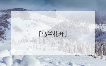 马兰花开