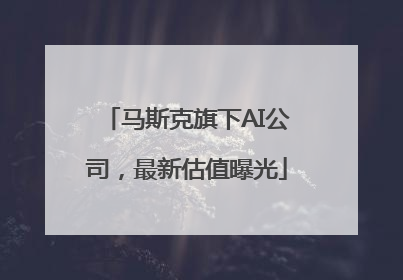 马斯克旗下AI公司，最新估值曝光