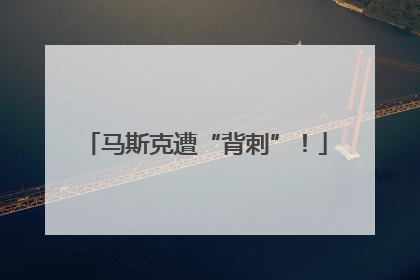 马斯克遭“背刺”！