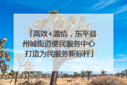 高效+温情，东平县州城街道便民服务中心打造为民服务新标杆