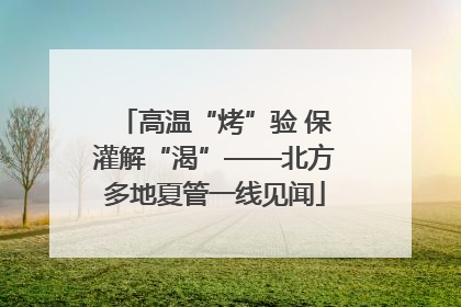 高温“烤”验 保灌解“渴”——北方多地夏管一线见闻