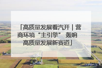 高质量发展看汽开｜营商环境“主引擎” 轰响高质量发展新赛道