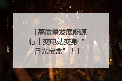 高质量发展能源行丨变电站变身“月光宝盒”！