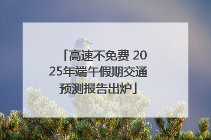 高速不免费 2025年端午假期交通预测报告出炉