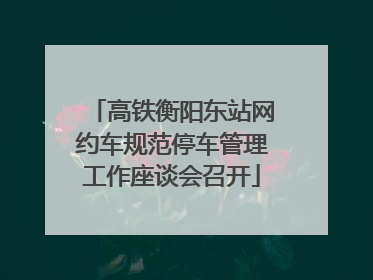 高铁衡阳东站网约车规范停车管理工作座谈会召开