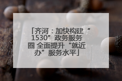 齐河：加快构建“1530”政务服务圈 全面提升“就近办”服务水平