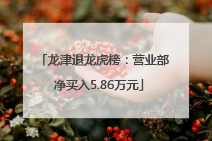 龙津退龙虎榜：营业部净买入5.86万元