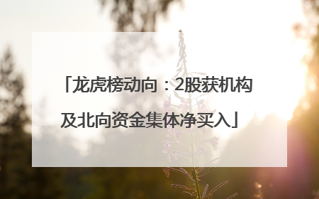 龙虎榜动向：2股获机构及北向资金集体净买入