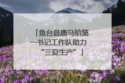 鱼台县唐马镇第一书记工作队助力“三夏生产”