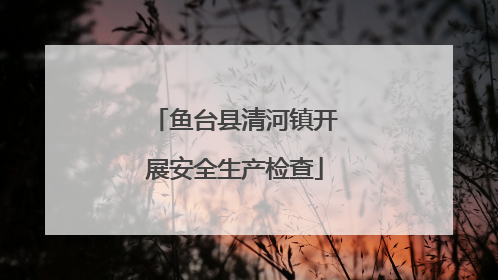 鱼台县清河镇开展安全生产检查