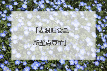 麦浪归仓急 新垄点豆忙
