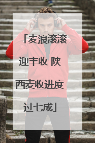 麦浪滚滚迎丰收 陕西麦收进度过七成