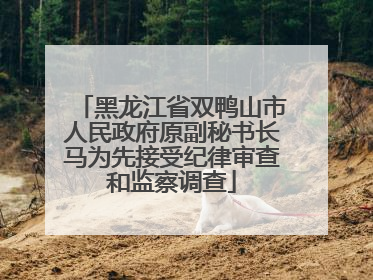 黑龙江省双鸭山市人民政府原副秘书长马为先接受纪律审查和监察调查