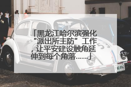 黑龙江哈尔滨强化“派出所主防”工作，让平安建设触角延伸到每个角落……