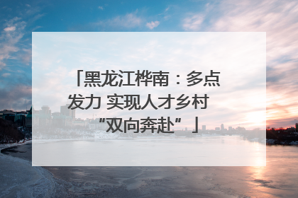 黑龙江桦南：多点发力 实现人才乡村“双向奔赴”