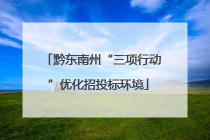 黔东南州“三项行动”优化招投标环境