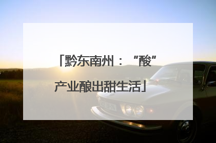 黔东南州：“酸”产业酿出甜生活