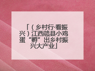 （乡村行·看振兴）江西赣县小鸡蛋“孵”出乡村振兴大产业