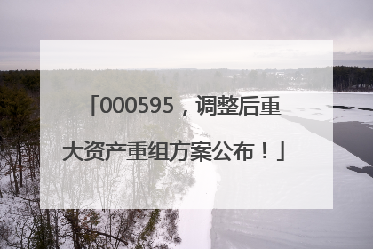 000595，调整后重大资产重组方案公布！