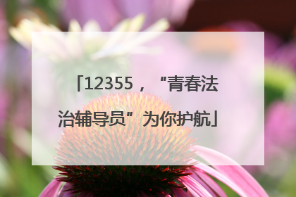 12355，“青春法治辅导员”为你护航