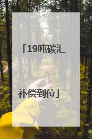 19吨碳汇补偿到位