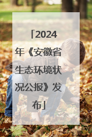 2024年《安徽省生态环境状况公报》发布