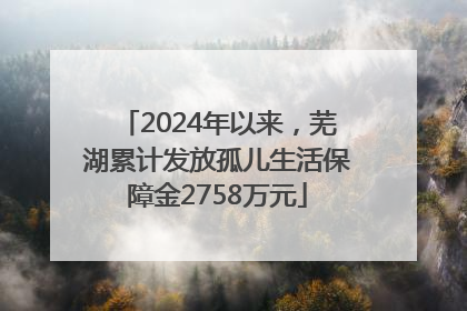 2024年以来，芜湖累计发放孤儿生活保障金2758万元