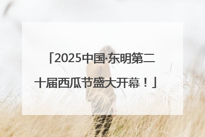 2025中国·东明第二十届西瓜节盛大开幕！