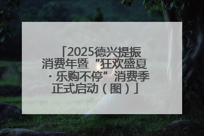 2025德兴提振消费年暨“狂欢盛夏・乐购不停”消费季正式启动（图）