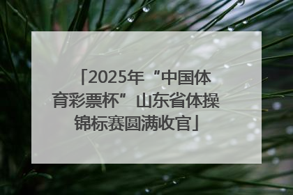 2025年“中国体育彩票杯”山东省体操锦标赛圆满收官