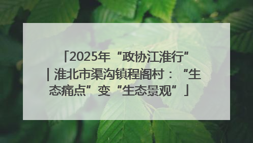 2025年“政协江淮行”｜淮北市渠沟镇程阁村：“生态痛点”变“生态景观”