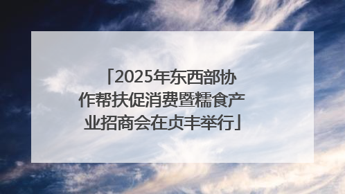 2025年东西部协作帮扶促消费暨糯食产业招商会在贞丰举行