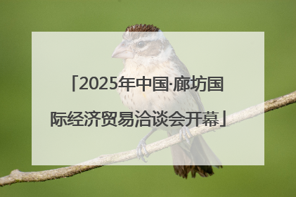 2025年中国·廊坊国际经济贸易洽谈会开幕