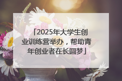 2025年大学生创业训练营举办，帮助青年创业者在长圆梦