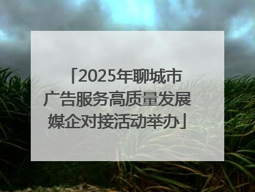 2025年聊城市广告服务高质量发展媒企对接活动举办