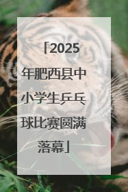 2025年肥西县中小学生乒乓球比赛圆满落幕
