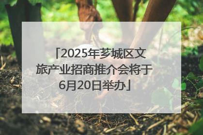 2025年芗城区文旅产业招商推介会将于6月20日举办