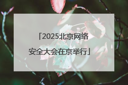 2025北京网络安全大会在京举行