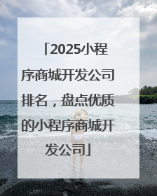 2025小程序商城开发公司排名，盘点优质的小程序商城开发公司