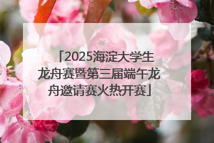 2025海淀大学生龙舟赛暨第三届端午龙舟邀请赛火热开赛