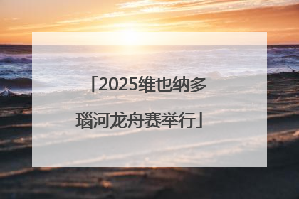 2025维也纳多瑙河龙舟赛举行