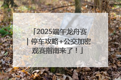 2025端午龙舟赛｜停车攻略+公交加密 观赛指南来了！