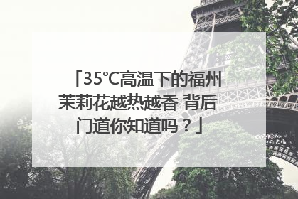35℃高温下的福州茉莉花越热越香 背后门道你知道吗？