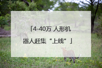 4-40万 人形机器人赶集“上线”