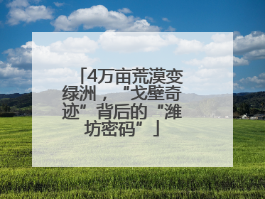 4万亩荒漠变绿洲，“戈壁奇迹”背后的“潍坊密码”